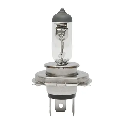 Lampadina faro alogena P43T H4 12V 60x55W