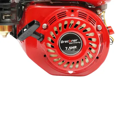 MOTORE A SCOPPIO 7,5 HP, Albero 20 MM - immagine 3