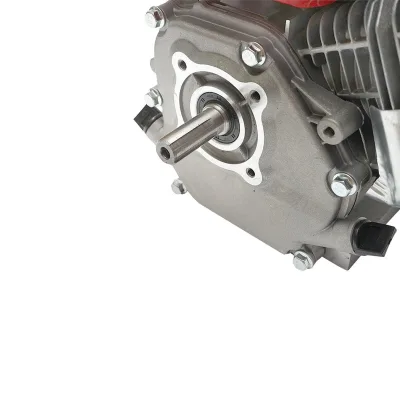 MOTORE A SCOPPIO 7,5 HP, Albero 20 MM - immagine 6