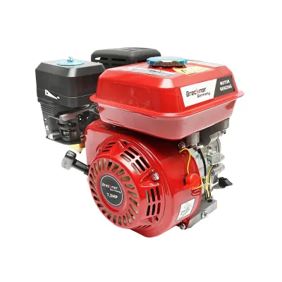 MOTORE A SCOPPIO 7,5 HP, Albero 20 MM - immagine 2