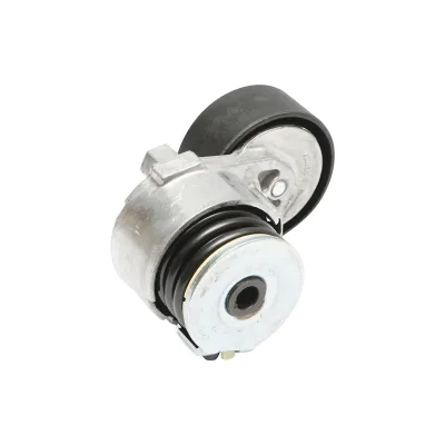 Accessori puleggia cinghia Dacia Logan e Duster 1.5dCi con AC 8200608550 - immagine 2