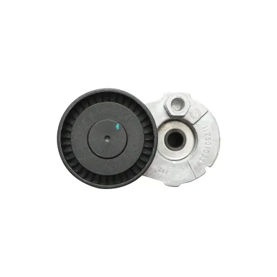 Accessori puleggia cinghia Dacia Logan e Duster 1.5dCi con AC 8200608550 - immagine 4