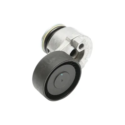 Accessori puleggia cinghia Dacia Logan e Duster 1.5dCi con AC 8200608550