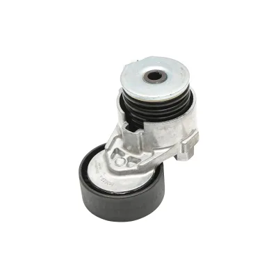 Accessori puleggia cinghia Dacia Logan e Duster 1.5dCi con AC 8200608550 - immagine 3