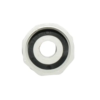 Adattatore IBC S60x6 femmina 1 pollice - immagine 3