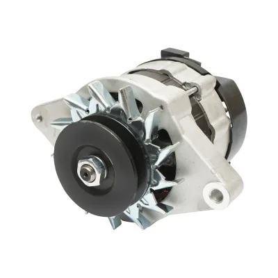 Alternatore per Fiat, Massey Ferguson, Landini Codice OEM 1672844M1, 1676689M92, 1699871M1, 1895271M91, 1897264M91, 1897271M91 14V, 33A