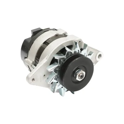 Alternatore per Fiat, Massey Ferguson, Landini Codice OEM 1672844M1, 1676689M92, 1699871M1, 1895271M91, 1897264M91, 1897271M91 14V, 33A - immagine 4