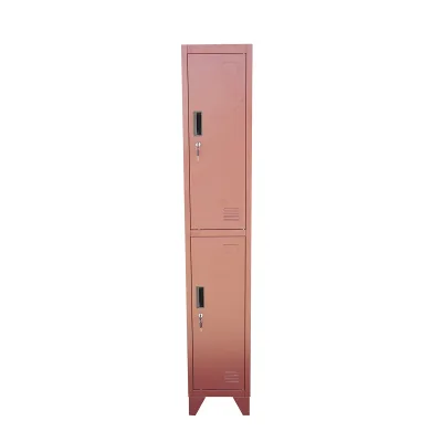 Armadietto metallico doppio tipo spogliatoio marrone con 2 ante con serratura e 6 ripiani – 1700×300×450 mm