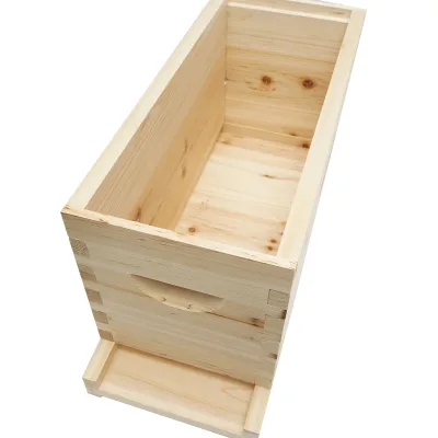Arnia orizzontale in legno per api, , 5 telai, dimensioni 505x230x245 mm - immagine 3