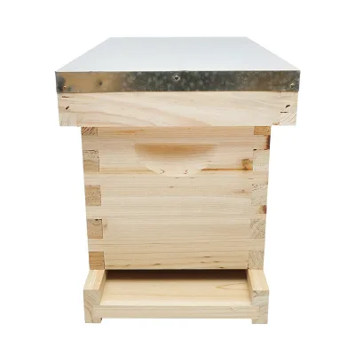 Arnia orizzontale in legno per api, , 5 telai, dimensioni 505x230x245 mm - immagine 4