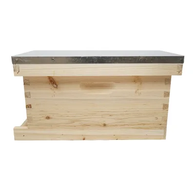 Arnia orizzontale in legno per api, , 5 telai, dimensioni 505x230x245 mm - immagine 2