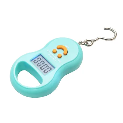 Bilancia Digitale Portatile, Capacità 50 kg, Display LCD, Pesa Valigie, Bagagli, Pesca, Cucina, Alimentazione 2 Batterie AAA - immagine 2