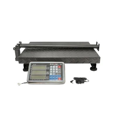 Bilancia Elettronica da Pavimento, Piattaforma 600 x 450 mm, Capacità 700 kg /100 g, Display LCD, Batteria Ricaricabile, 220V - immagine 3