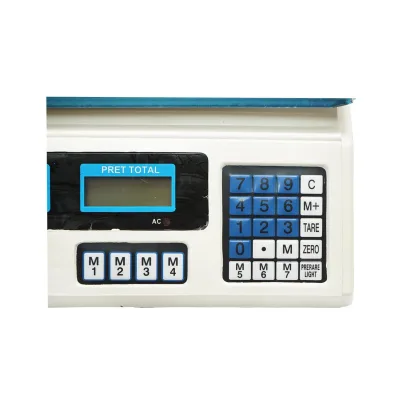 Bilancia elettronica digitale con schermo LCD, capacità massima 40 kg, con batteria da 4V - immagine 6