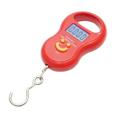 Bilancia portatile elettronica da 50 Kg - immagine 2