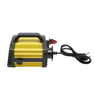 Caricabatterie smart digitale per batterie – 12V-25A / 24V-15A - immagine 2