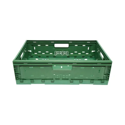Cassa, scatola di plastica pieghevole 595x385x185mm, verde per riporre oggetti