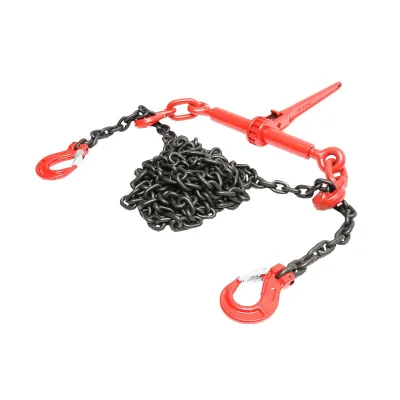 Catena di Ancoraggio con Tenditore a Cricchetto, 4T, Lunghezza 6m, Spessore 8mm - immagine 4