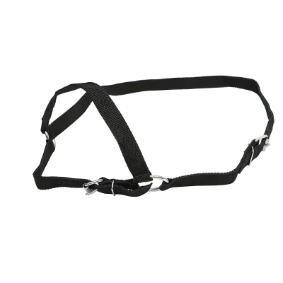 Cavezza in nylon per mucca 25mm