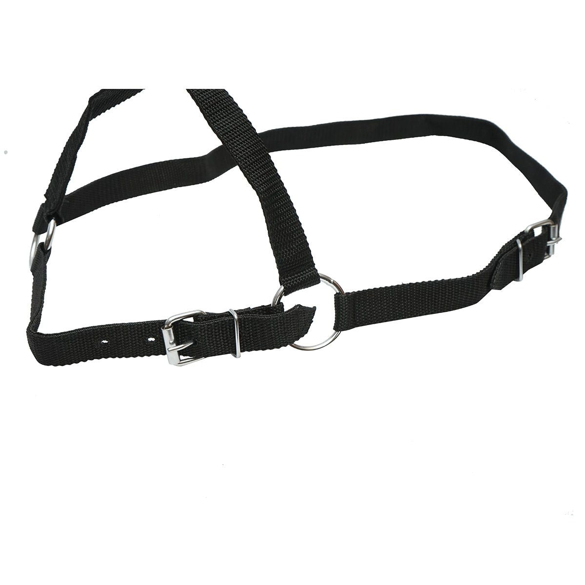 Cavezza in nylon per mucca 25mm - immagine 3