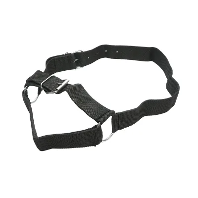 Cavezza in nylon per mucca 50mm