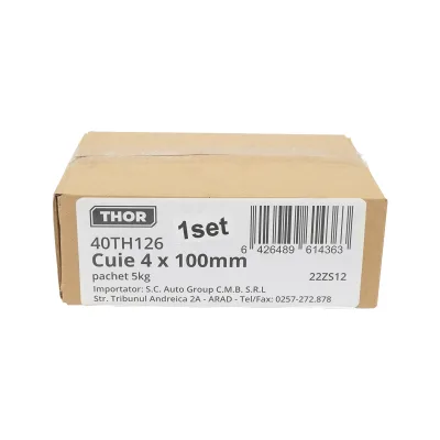 Chiodi da costruzione 4x100mm confezione da 5Kg - immagine 4