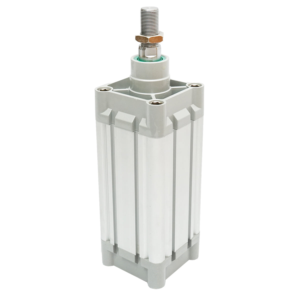 Cilindro pneumatico in alluminio fi 80mm, corsa 100mm - immagine 4