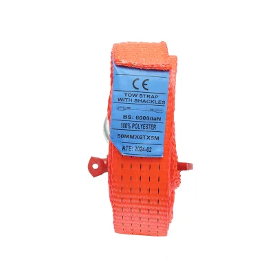 Cinghia da traino 5mx45mm 6T occhiello con vite Breckner Germany - immagine 3
