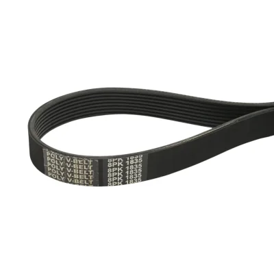Cinghia della ventola JCB 3CX, 4CX 8PK 1835mm codice OEM 320/08598 - immagine 3