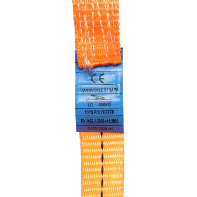 Cinghia di Ancoraggio Merci Cinghia di fissaggio, 2,5m x 25mm, 500kg, Cricchetto - immagine 5