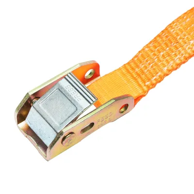 Cinghia di Ancoraggio Merci, 2,5m x 25mm, 600kg, con Cricchetto - immagine 3
