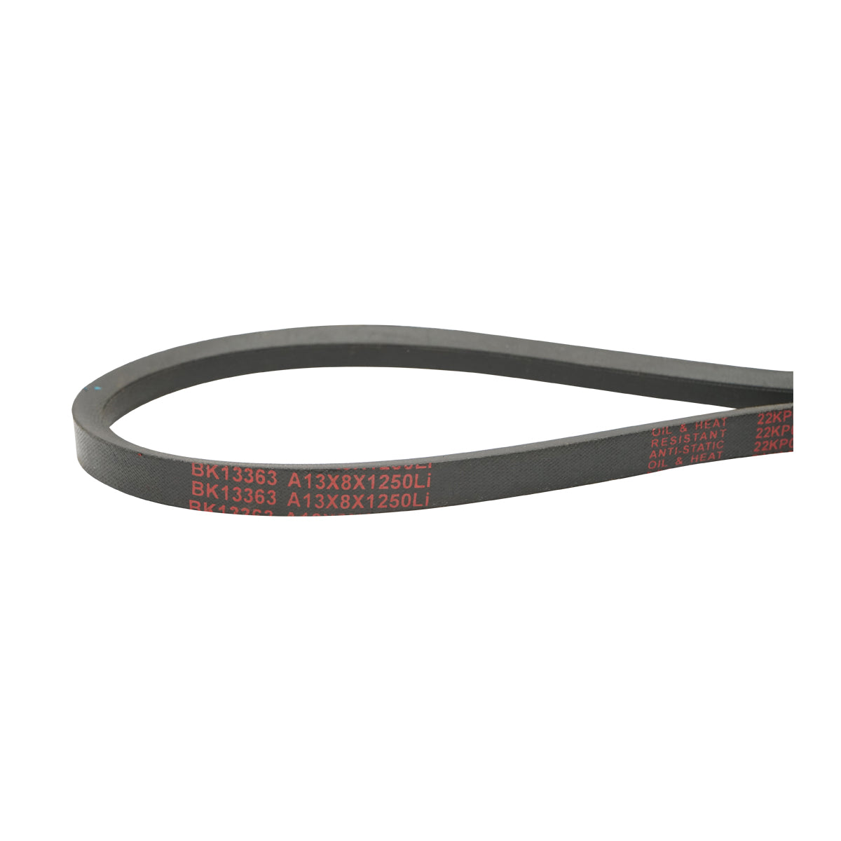 Cinghia di trasmissione 13X1250 Li - immagine 3