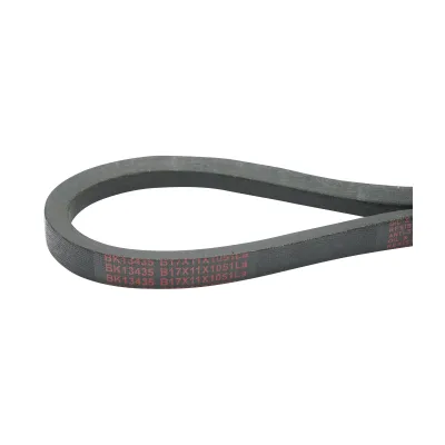 Cinghia di trasmissione 17x11x1051 La - immagine 3