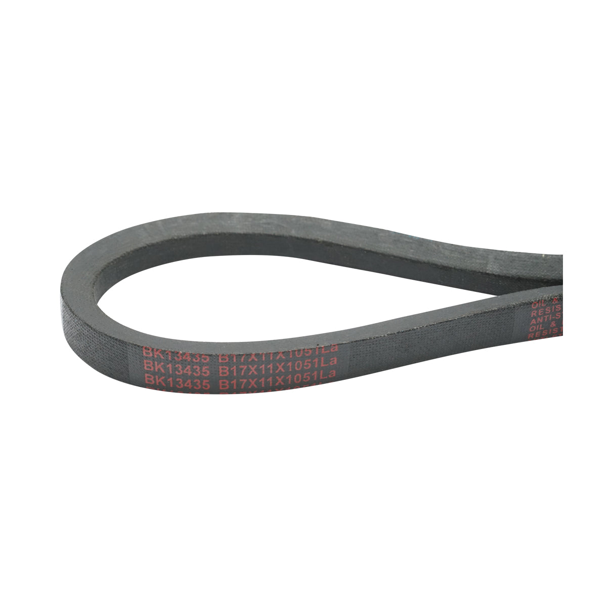 Cinghia di trasmissione 17x11x1051 La - immagine 3