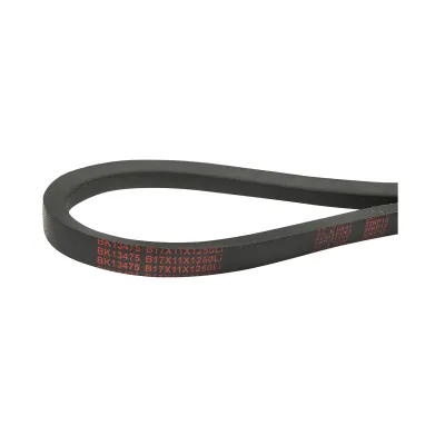 Cinghia di trasmissione 17X11X1250 Li - immagine 3