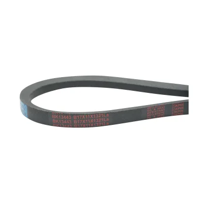 Cinghia di trasmissione 17x11x1321 La - immagine 3