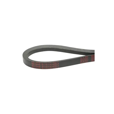 Cinghia di trasmissione 17x11x1426 La - immagine 3