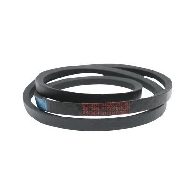 Cinghia di trasmissione 17X11X1700 Li