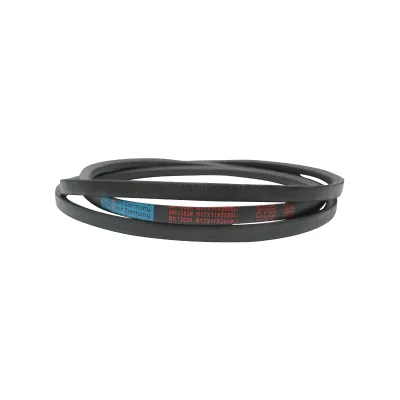 Cinghia di trasmissione 17X11X2950 Li