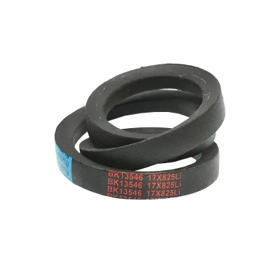 Cinghia di trasmissione 17X11X825 Li - immagine 2