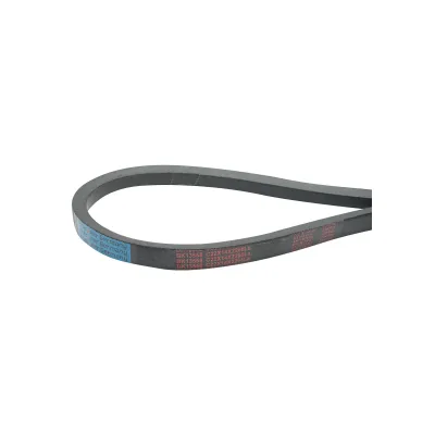 Cinghia di trasmissione 22x14x2266 La - immagine 3