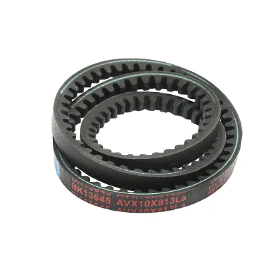 Cinghia di trasmissione AVX 10X813 La - immagine 2