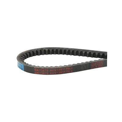 Cinghia di trasmissione AVX 13X1175 La - immagine 3
