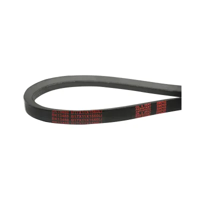 Cinghia di trasmissione B 17X11X1560 Li - immagine 3