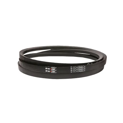 Cinghia di trasmissione B 17x11x2589 LA 17x2589 - immagine 2