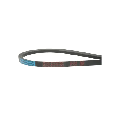 Cinghia di trasmissione B 17X11X3100 LI - immagine 2