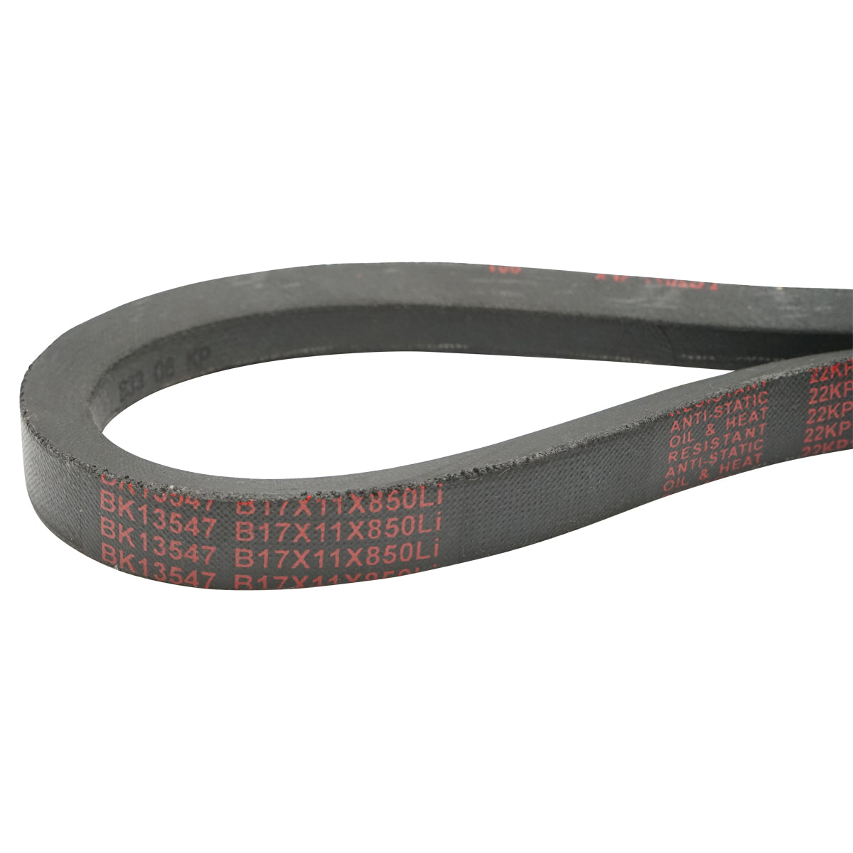 Cinghia di trasmissione B 17X11X850 Li - immagine 3