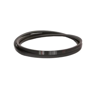 Cinghia di trasmissione C 22x14x3888 LA 22x3888 - immagine 2
