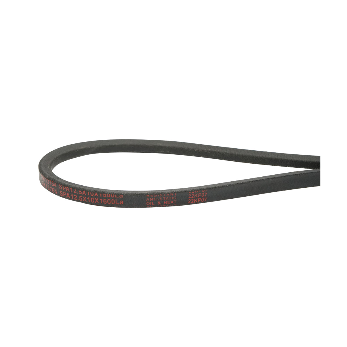 Cinghia di trasmissione SPA 12,5x10x1600 LA - immagine 3