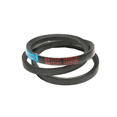 Cinghia di trasmissione Z 10X6X875 Li - immagine 2